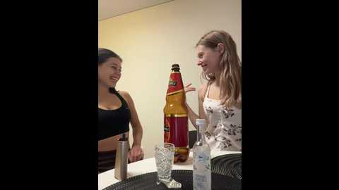 vibromashulkadashulka