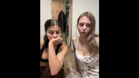 vibromashulkadashulka