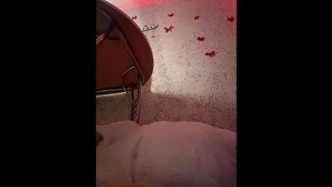 littledelora @ bongacams on 20260217