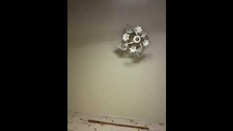 bellaandalice @ bongacams on 20260219