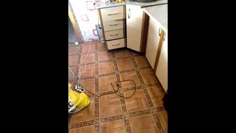 ekatirina1111 @ bongacams on 20260219