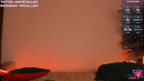 virtual_lady