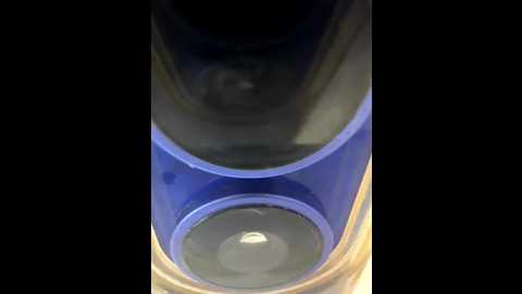 kamiandserg566 @ bongacams on 20260221