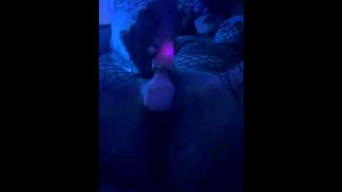 listbess @ bongacams on 20260221