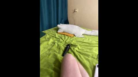 _breid_1 @ bongacams on 20260222