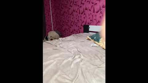 cat_meowa @ bongacams on 20260222