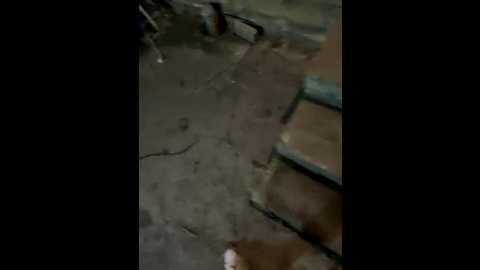 mamaneeprostit1111 @ bongacams on 20260222