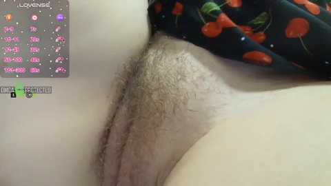 redaura @ bongacams on 20260222