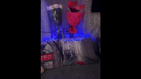 aureliyxxx @ bongacams on 20260223