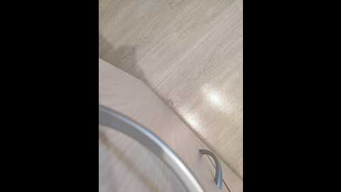 angelia22 @ bongacams on 20260224