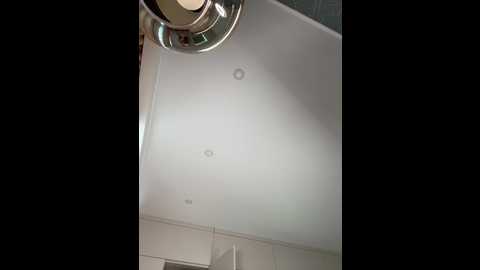 _wowfox_ @ bongacams on 20260225