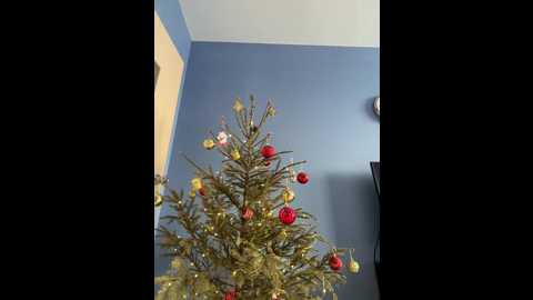 kiss_krisss @ bongacams on 20260225