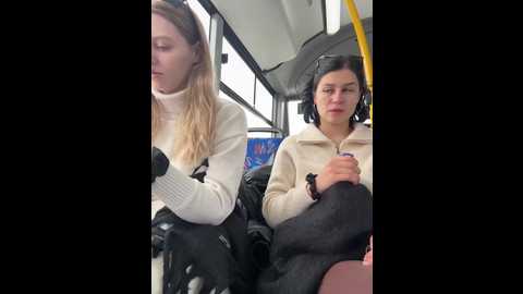 vibromashulkadashulka