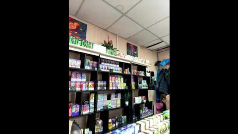 sofi_edvige @ bongacams on 20260226