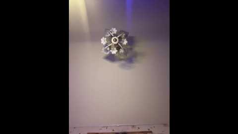 bellaandalice @ bongacams on 20260227