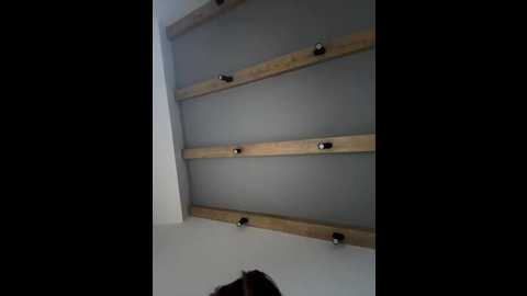 nezukoo @ bongacams on 20260227