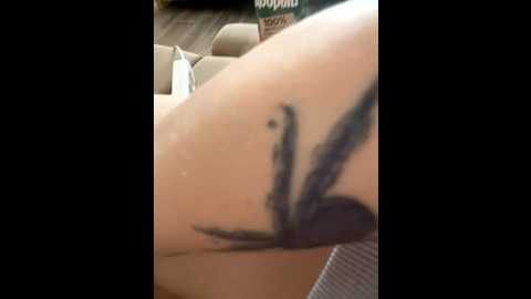 san_sony1 @ bongacams on 20260228