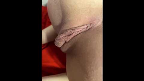 chanel77777 @ bongacams on 20260301