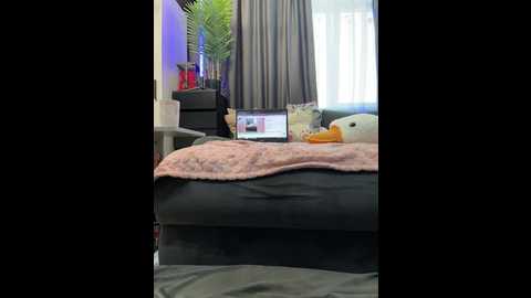 vero19nika @ bongacams on 20260301