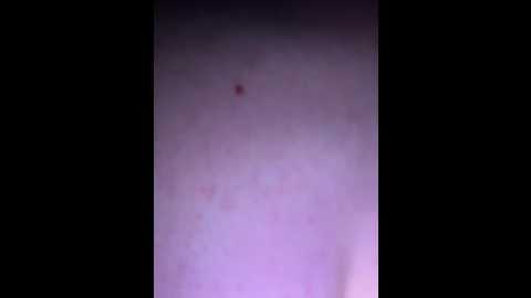 horneydiwazz @ bongacams on 20260302