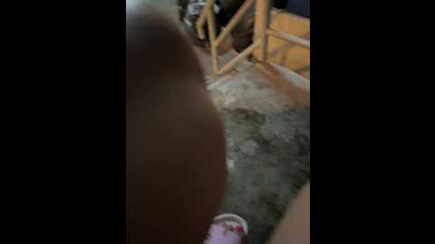 tokionajoe @ bongacams on 20260304