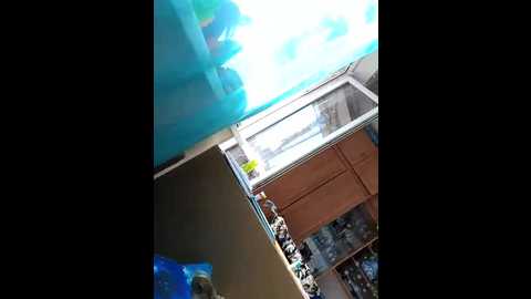 aleksnadunya19800518