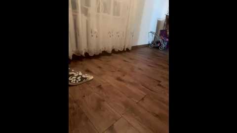 gamid23 @ bongacams on 20260323