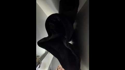 adelaida1001 @ bongacams on 20260324