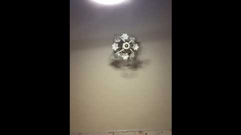 bellaandalice @ bongacams on 20260325