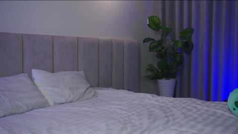 pluxury_ @ bongacams on 20260325