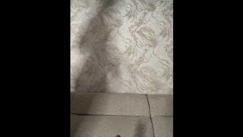 lolafox @ bongacams on 20260327