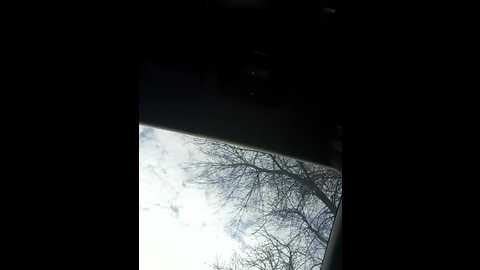 gggglaaaaaafftt596rr @ bongacams on 20260328