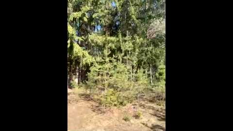 aniram2221 @ bongacams on 20260329