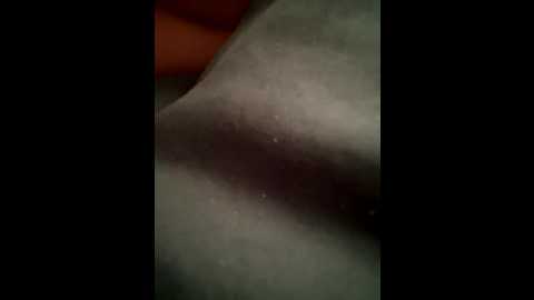 chasemeplease @ bongacams on 20260329