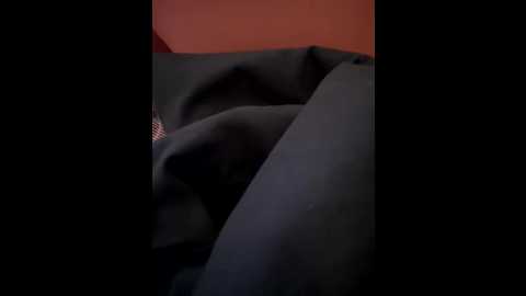 chasemeplease @ bongacams on 20260329