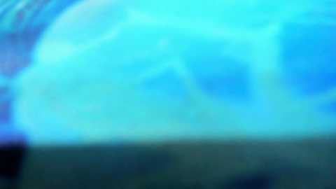 ___rrmodelsstars___ @ bongacams on 20260330