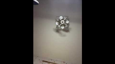 bellaandalice @ bongacams on 20260411