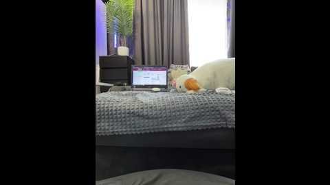 vero19nika @ bongacams on 20260411