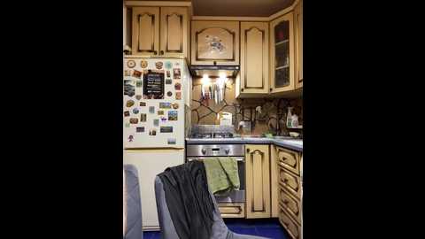 _breid_1 @ bongacams on 20260414