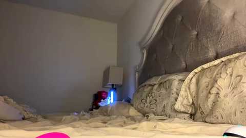 x_dreamgirl_x @ chaturbate on 20230902
