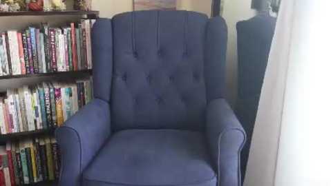 ellynaomi @ chaturbate on 20230903