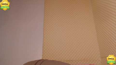 sofia_sakura @ chaturbate on 20230908