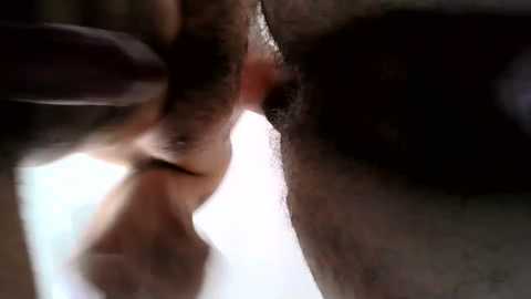 brhornycouple @ chaturbate on 20230909