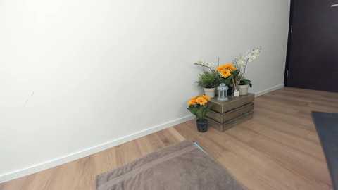 ehotlovea @ chaturbate on 20230910