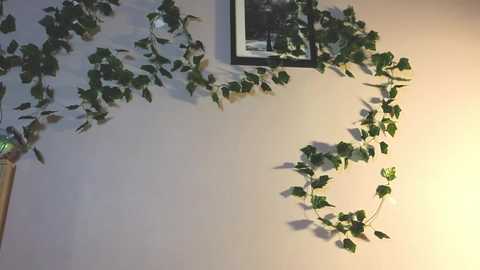 teresabriggs @ chaturbate on 20230910