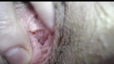 courtney_luv @ chaturbate on 20230911