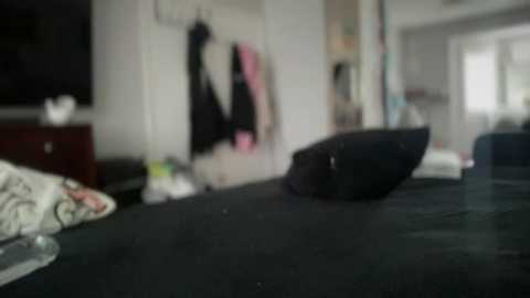 chrystalsky @ chaturbate on 20230912