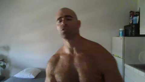 hristopelov @ chaturbate on 20230912