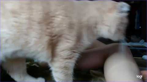 marylune @ chaturbate on 20230915