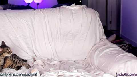 jade49 @ chaturbate on 20230918